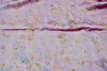 Load image into Gallery viewer, Botanically Dyed Mulberry Silk Pillowcase