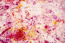 Load image into Gallery viewer, Botanically Dyed Mulberry Silk Pillowcase