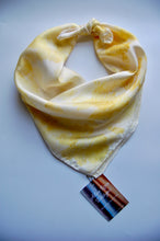 Load image into Gallery viewer, Botanically Dyed Silk Bandana - Charmeuse Silk