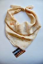 Load image into Gallery viewer, Botanically Dyed Silk Bandana - Habotai Silk