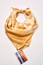 Load image into Gallery viewer, Botanically Dyed Silk Bandana - Charmeuse Silk